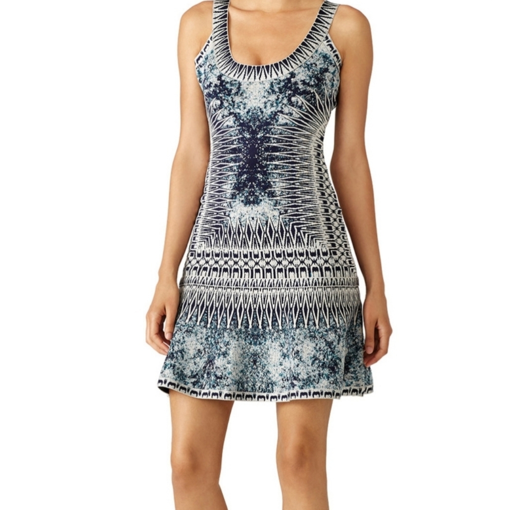 COPY - COPY - Herve Leger spears dress